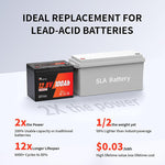 12V 100AH LiFePO4 battery LEAD-ACID housing