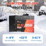 12V 100AH LiFePO4 Low-Temp Cut-off protection BMS